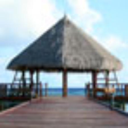 Caribbean Chicken & Things